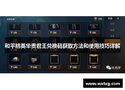 和平精英华贵君王兑换码获取方法和使用技巧详解