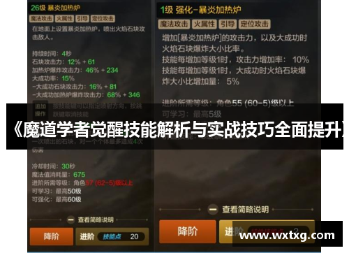 《魔道学者觉醒技能解析与实战技巧全面提升》